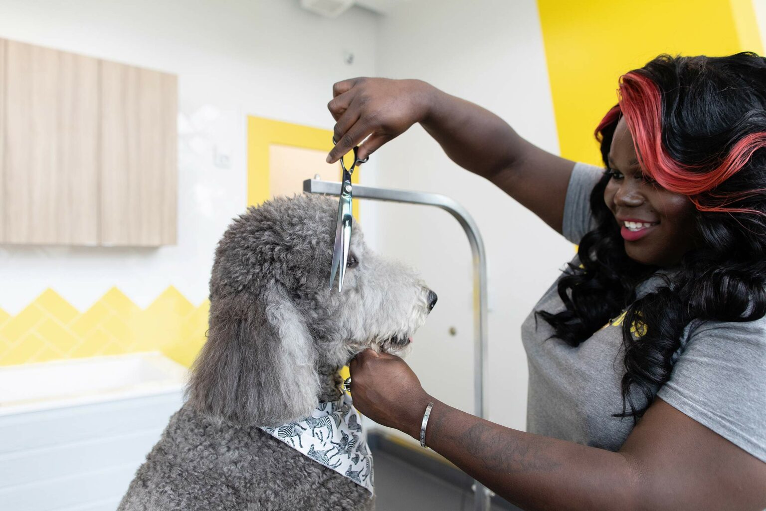 Petland grooming outlet